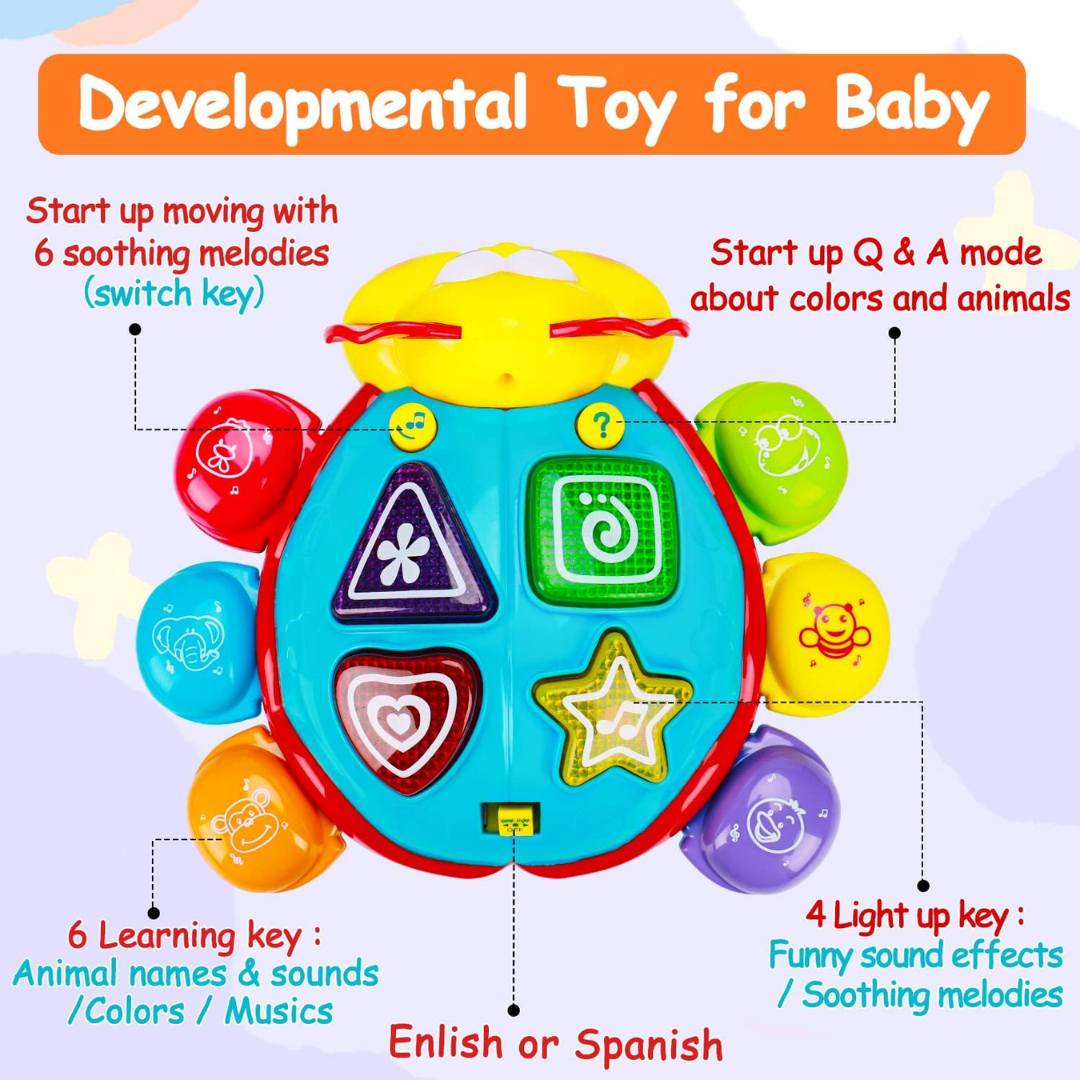 Bilingual Baby Crawling Toys
