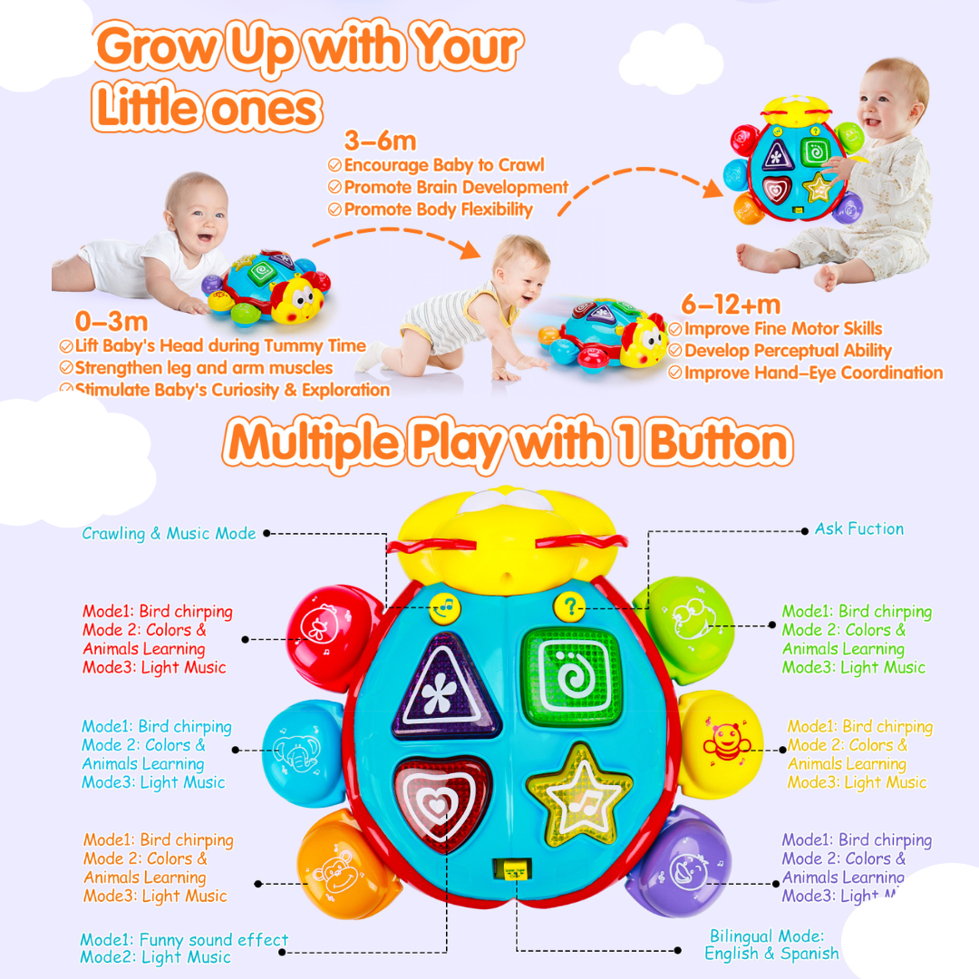 Bilingual Baby Crawling Toys