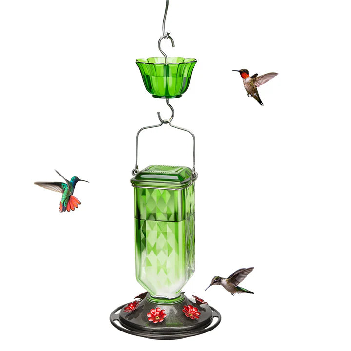 LAST DAY 50% OFF - 24oz Leak Proof Hummingbird Feeder With Ant Moat