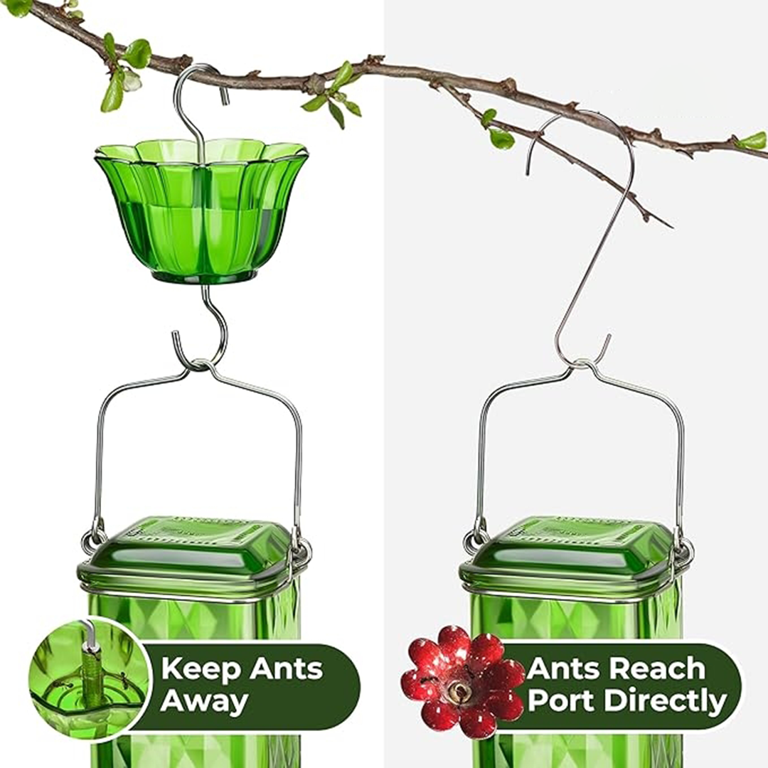 LAST DAY 50% OFF - 24oz Leak Proof Hummingbird Feeder With Ant Moat