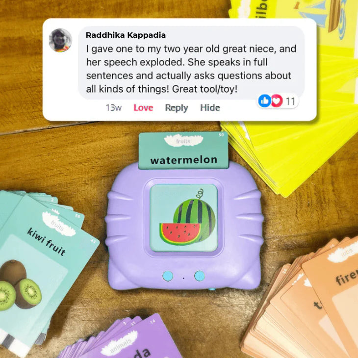 Educational Bilingual Spanish-English 500+ Words Flashcards