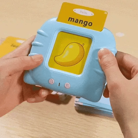 Educational Bilingual Spanish-English 500+ Words Flashcards