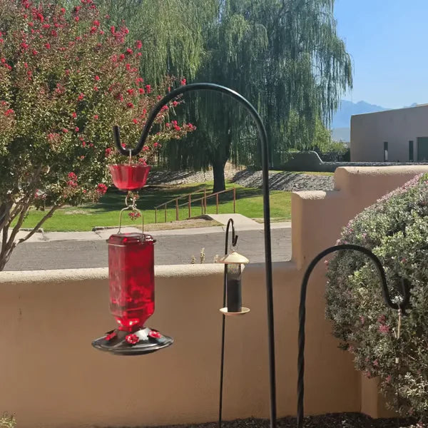 LAST DAY 50% OFF - 24oz Leak Proof Hummingbird Feeder With Ant Moat