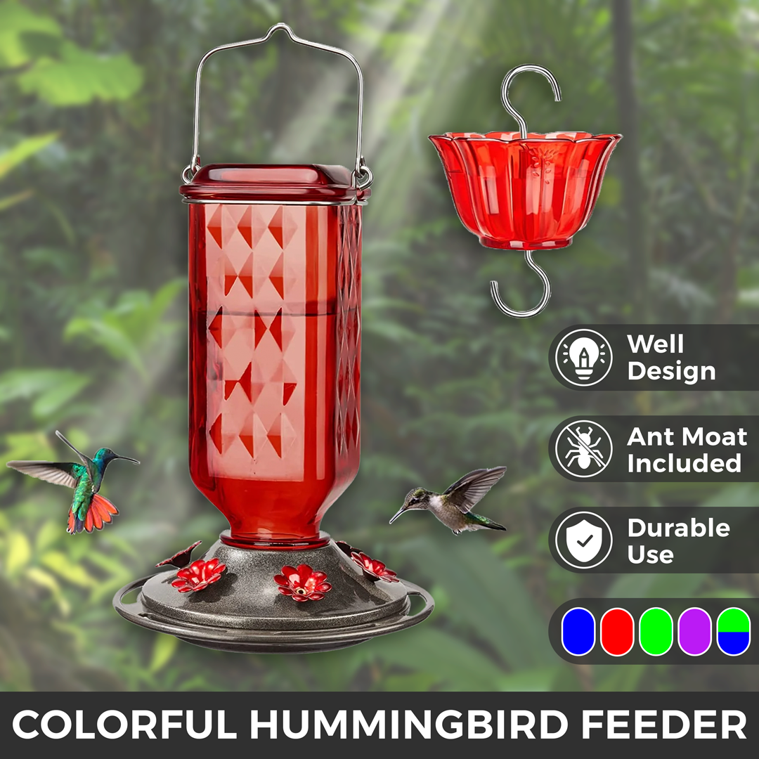 LAST DAY 50% OFF - 24oz Leak Proof Hummingbird Feeder With Ant Moat