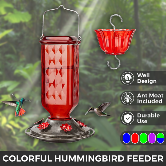 LAST DAY 50% OFF - 24oz Leak Proof Hummingbird Feeder With Ant Moat