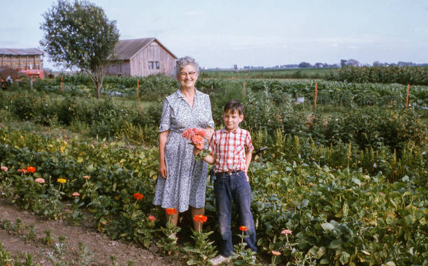 files/istockphoto-2003413574-612x612.jpg